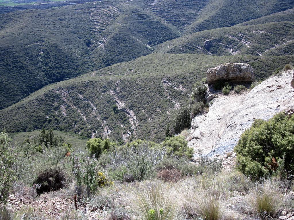 Spanje 2012 A2100 Tonie 118
